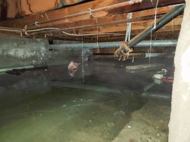 Best Flooded house restoration  in Yorktown, IN
