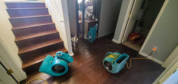 Best Local water damage restoration  in Yorktown, IN