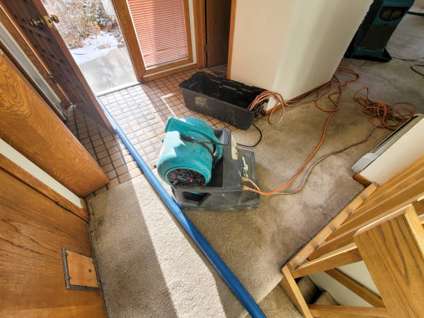 Best Ceiling water damage repair  in Yorktown, IN