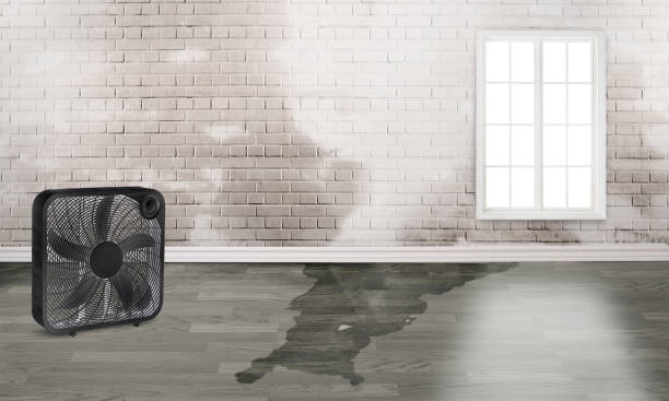 Best 24-hour water damage restoration  in Yorktown, IN