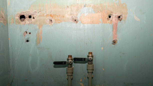 Best Basement water damage restoration  in Yorktown, IN