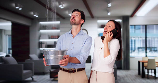 Best Basement water damage restoration  in Yorktown, IN