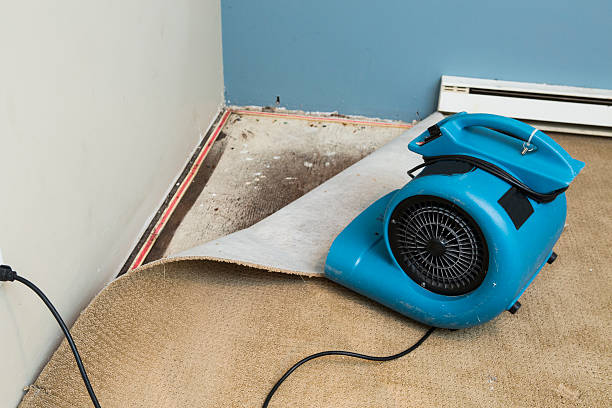 Best Fire Damage Restoration  in Yorktown, IN